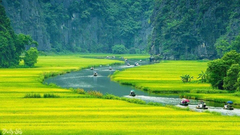 Tuyet'S Homestay Ninh Binh Exterior foto