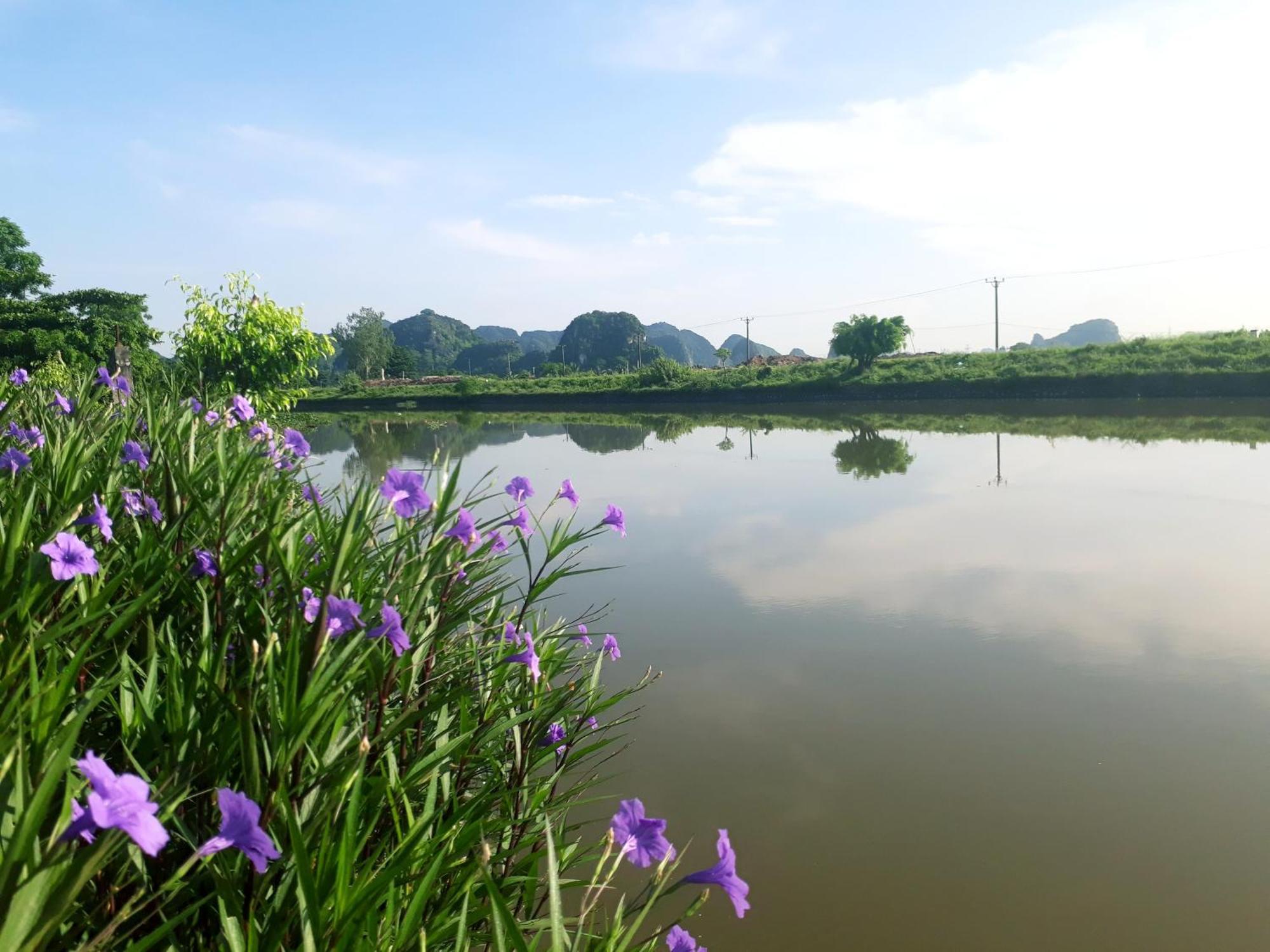 Tuyet'S Homestay Ninh Binh Zimmer foto
