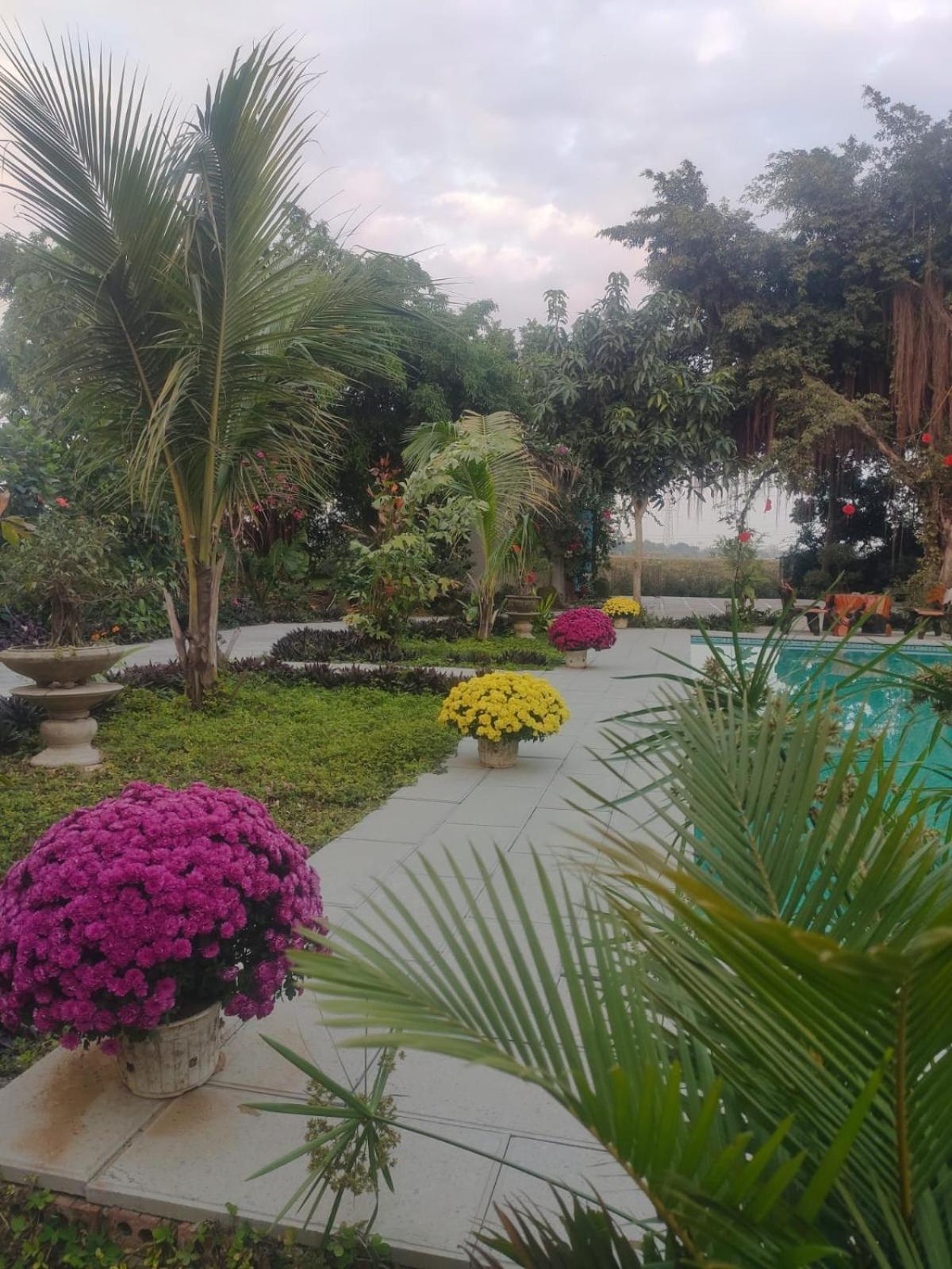 Tuyet'S Homestay Ninh Binh Zimmer foto
